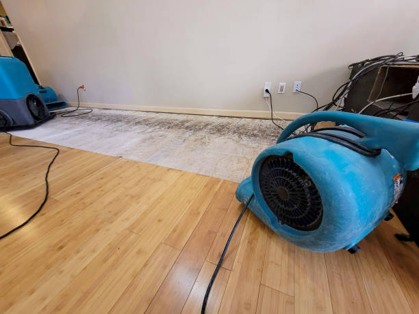 Professional Water Extraction technician working in Los Osos, CA